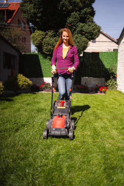 istock Woman mowing grass in her backyard 1431726102