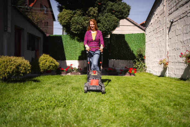 istock Woman mowing grass in her backyard 1431726103