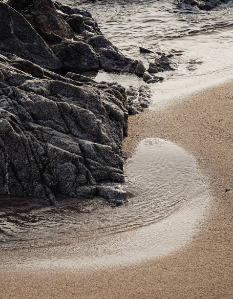 istock Landscape of a beach shore with waves and foam 1431739138