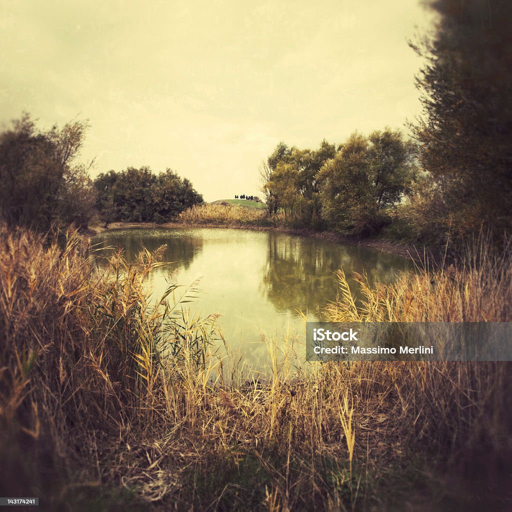 Lago pequeño - Foto de stock de Agua libre de derechos