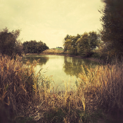 Small lake in Italy. Added age and grunge effect\u2028http://www.massimomerlini.it/is/nature.jpg