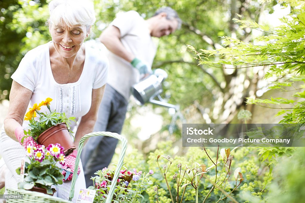 Bewundern Sie die Blumen - Lizenzfrei Bewässern Stock-Foto