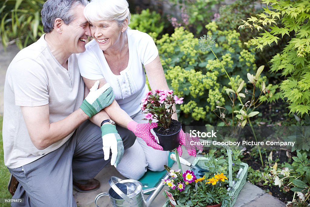 Liebe im Freien - Lizenzfrei Aktiver Lebensstil Stock-Foto