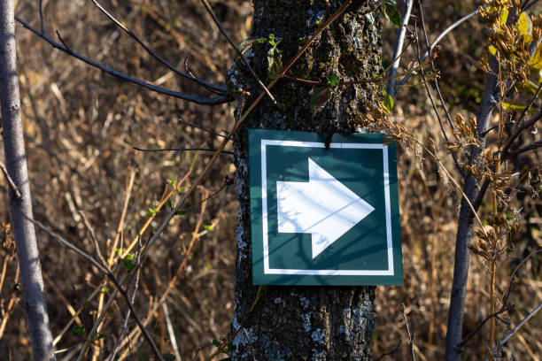 Sign with arrow sign on a tree pointing right on a hike trail