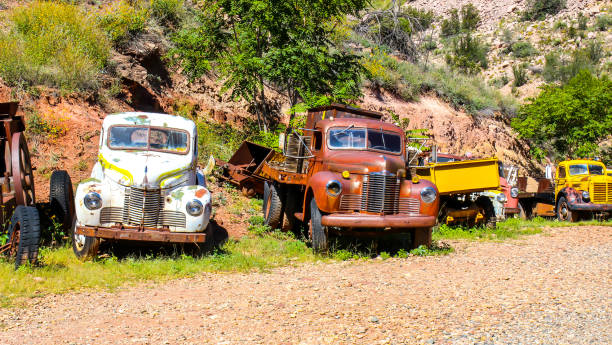 Various Antique Cars & Truck In Junkyard