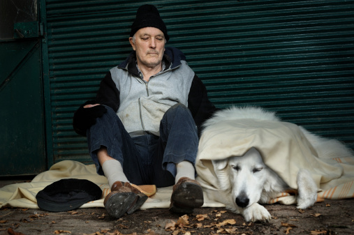 Homeless hombre con su perro photo