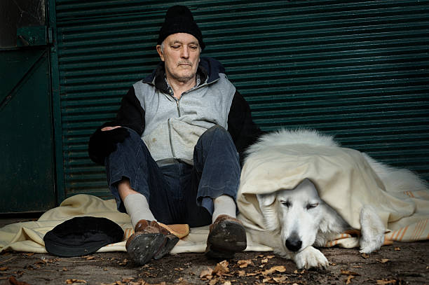 Homeless man with his dog stock photo