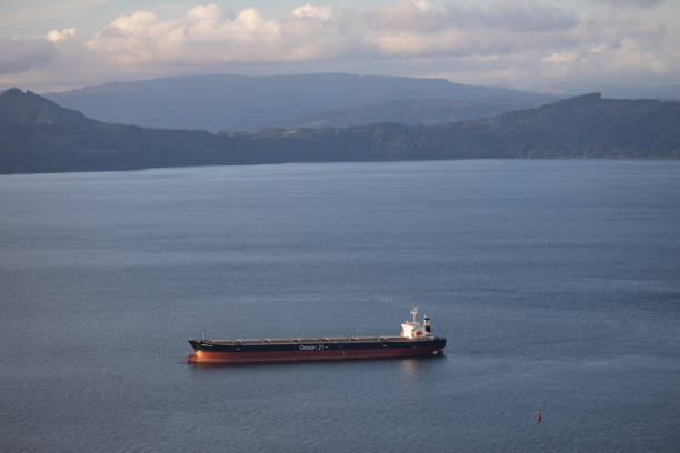 istock Cargo Ship Anchored in the Columbia River in Oregon 1431751899