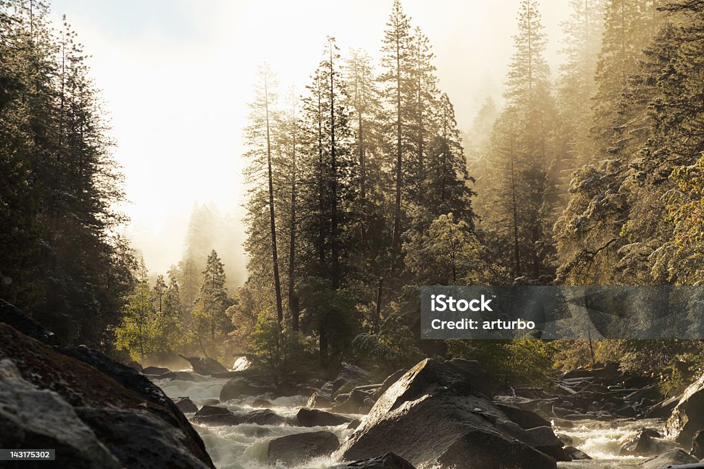 creek in Yosemite Nationalpark valley im Frühling unter foggy sky - Lizenzfrei Baum Stock-Foto