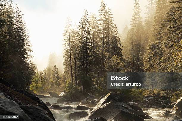 Creek No Parque De Yosemite Vale Durante A Primavera Com Céu Com Nevoeiroweather Forecast - Fotografias de stock e mais imagens de Ao Ar Livre