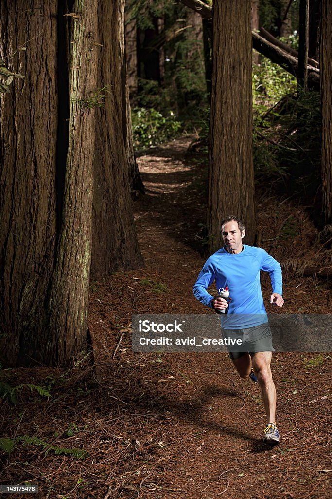 Homem correr ao longo da Trilha na Floresta de sequoias - Royalty-free Correr Foto de stock