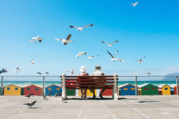 mittagessen am strand - kapstadt stock-fotos und bilder