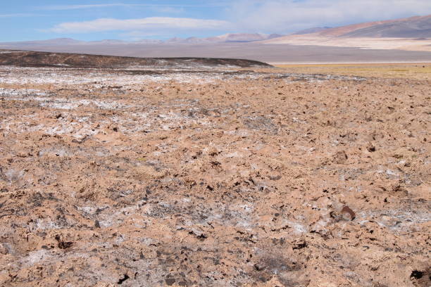 istock Desert landscape in Argentina 1431756535