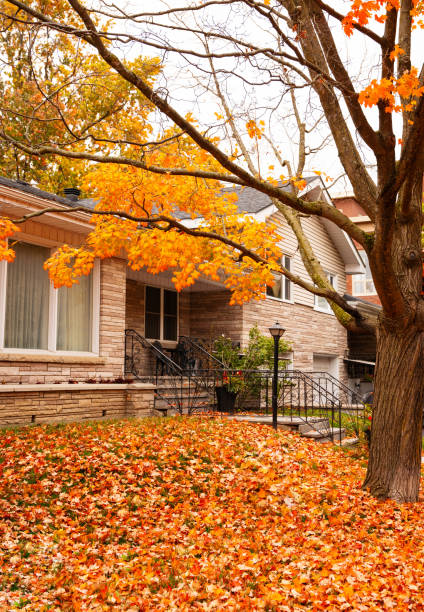 istock Autumn leaves in front of house 1431756697
