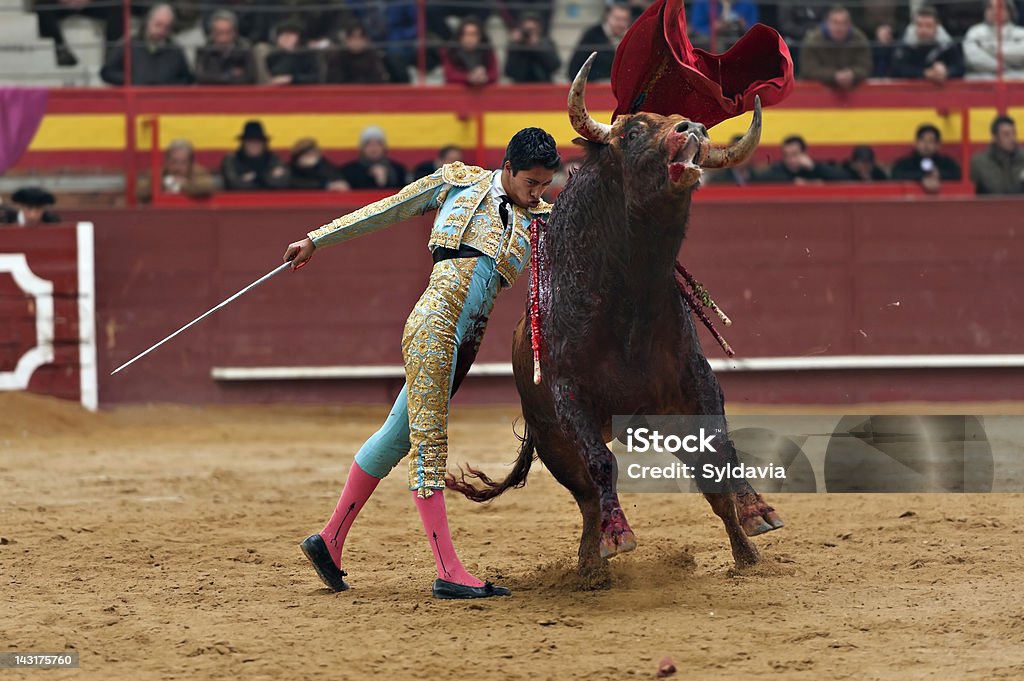 Bullfighter  Bullfight Stock Photo