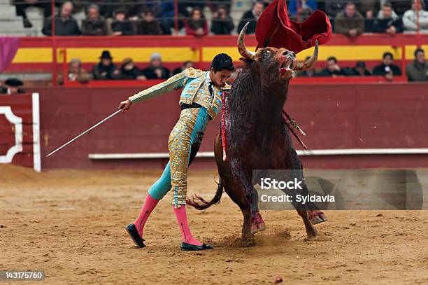 Bullfighter Stock Photo - Download Image Now - Bullfight, Bullfighter, Bull - Animal