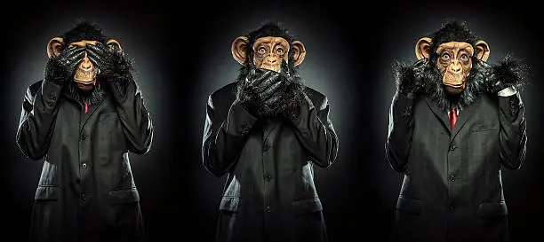 The proverbial Mizaru, Kikazaru, and Iwazaru monkeys, in business suits, motioning "See no evil, speak no evil, and hear no evil".  Monkey suit man covering his eyes, mouth, and ears with his hands.  High contrast studio shot; COMPOSITE IMAGE.