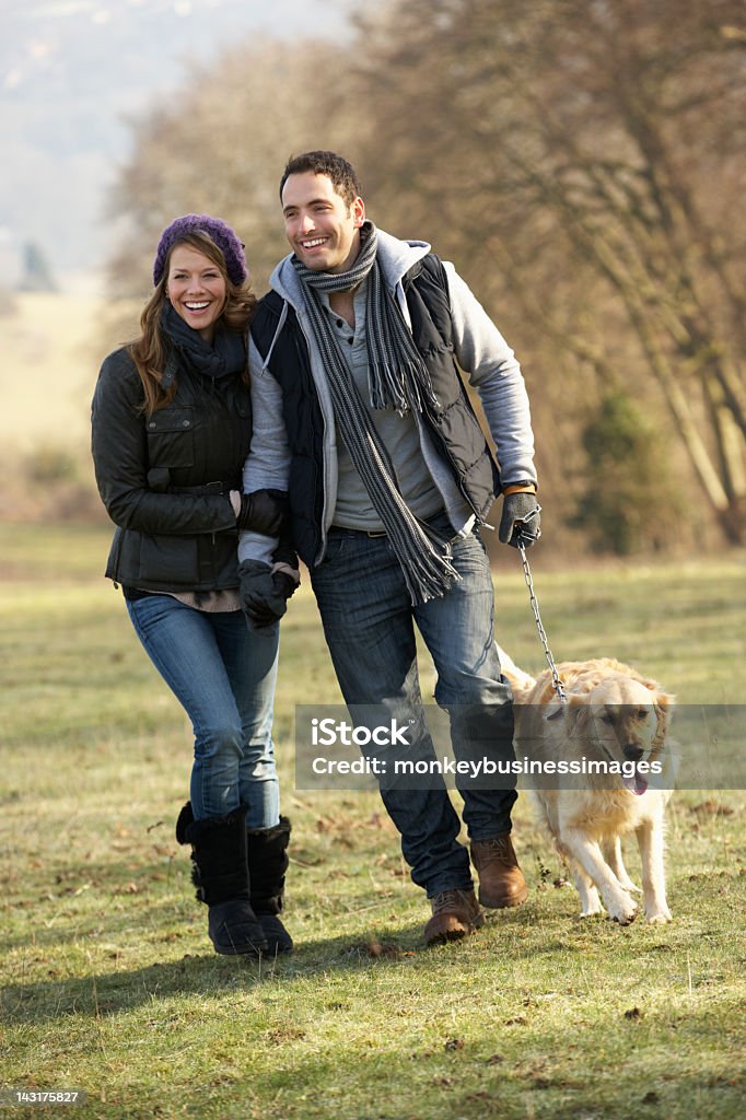 Пара ходить золотой ретривер в стране - Стоковые фото Услуги по выгулу собак роялти-фри