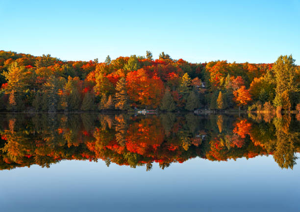 istock Autumn trees by the lake 1431758673