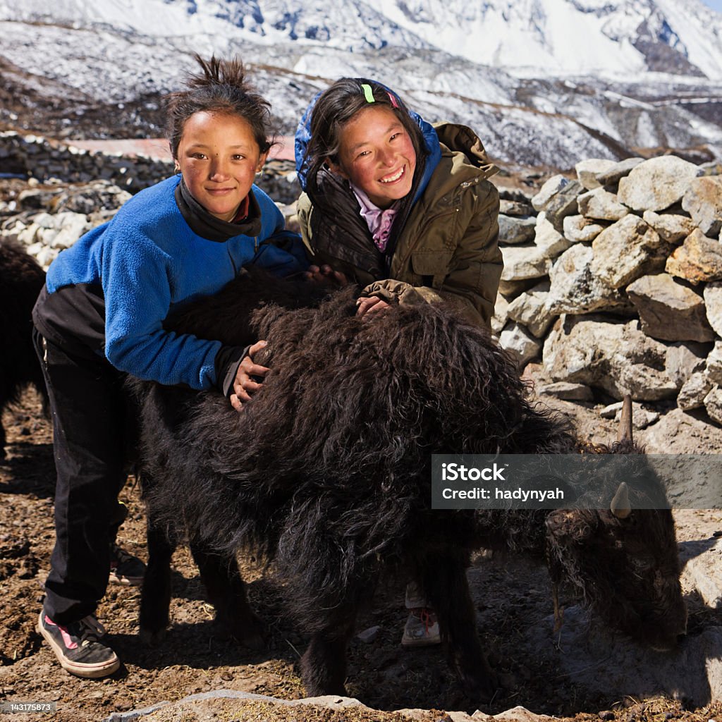 Jovens Meninas brincando com yaks NepalêsName - Royalty-free Montanha Foto de stock