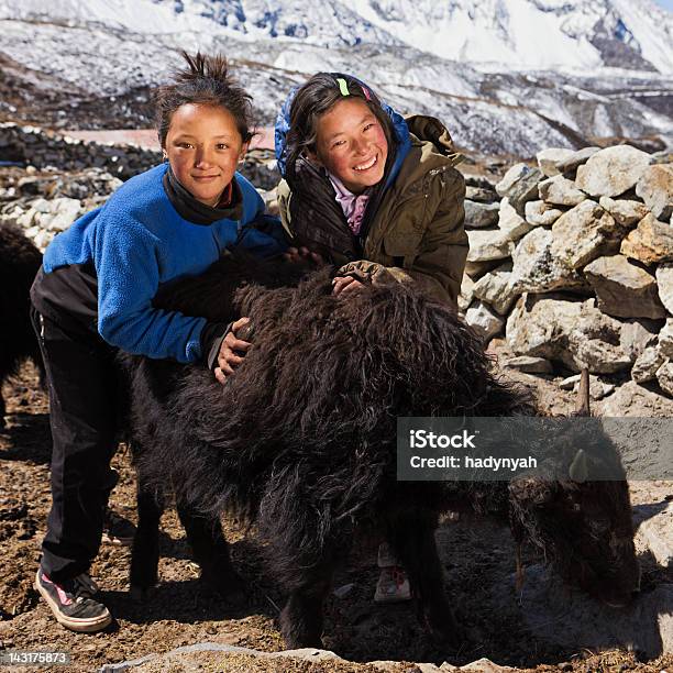 Jovens Meninas Brincando Com Yaks Nepalêsname - Fotografias de stock e mais imagens de Montanha - Montanha, Sorrir, Índia