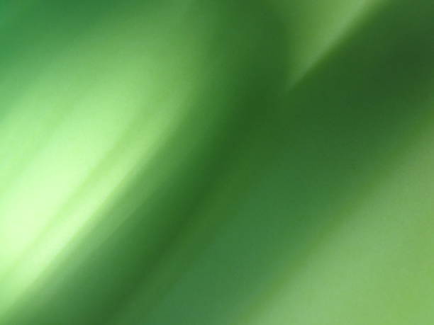 istock Trendy Green Abstract Nature  Defocused Soft Textured Swirl Template Background 1431760070