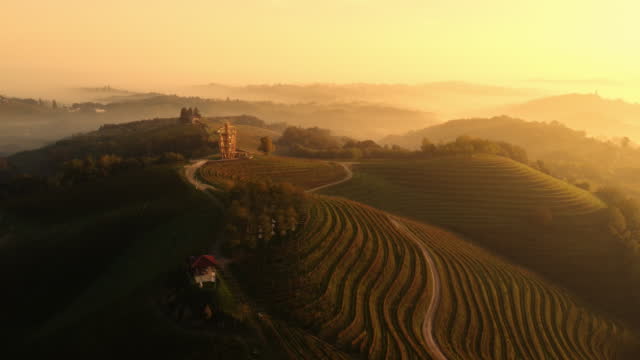 AERIAL Lookout tower among the vineyards at sunset