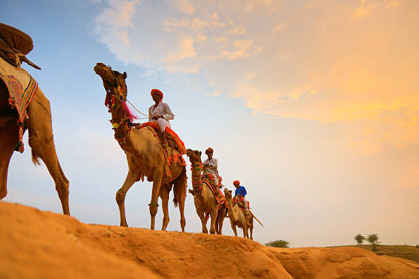 camel drivers in the desert stock photo