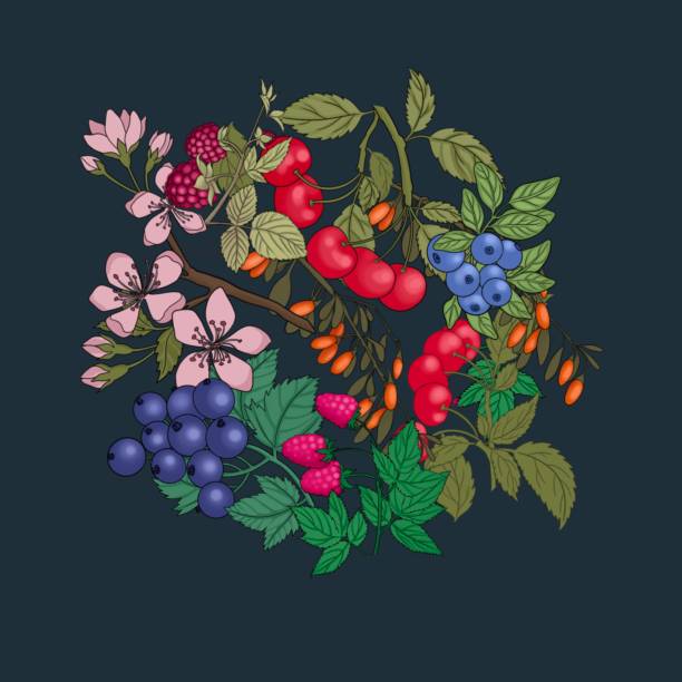 ręcznie rysowany sztandar wiśniowego wzoru z letnimi jagodami, owocami, liśćmi, kwiatami na tle. - berry fruit blueberry floral pattern strawberry stock illustrations