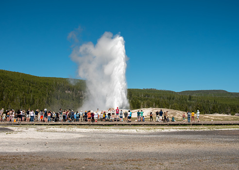Yellowstone, WY - July 2 2022: A crowd watching Old Geyser Erupt
