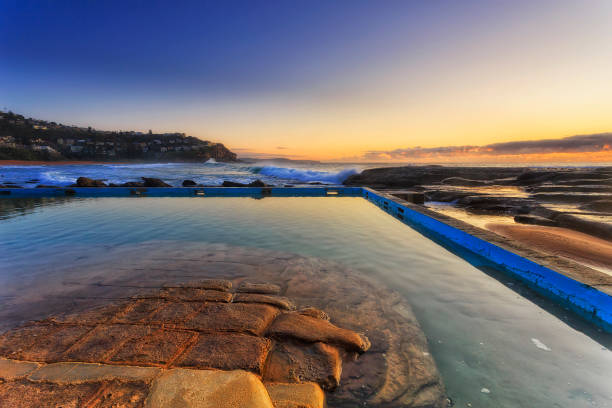 istock Sea Whale Pool wide dark 1431769750