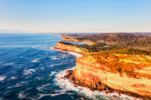 istock D Whale beach careel head to south 1431769852