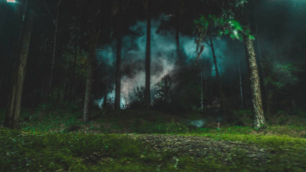 misty forest in der nacht mit der anwesenheit von nebeldämpfen - psychedelic smoke colors green stock-fotos und bilder