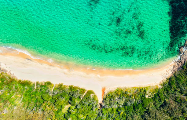 istock D Eliz bay shelly turn no sky 1431770569