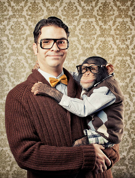 nerd con chimp - mascota exótica fotografías e imágenes de stock