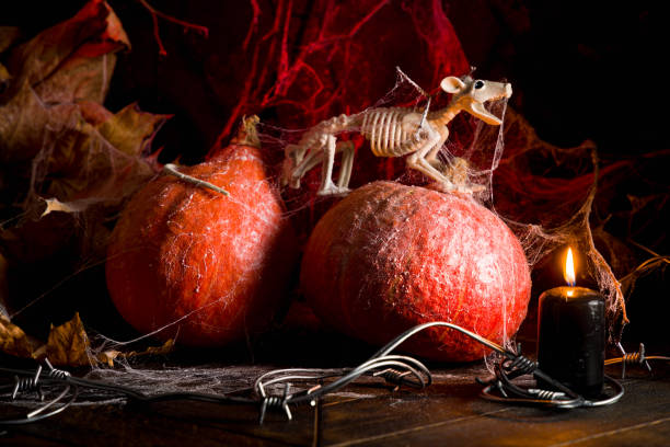 halloween concept, pumpkin with bats on a dark background with a skeleton, web and black candle