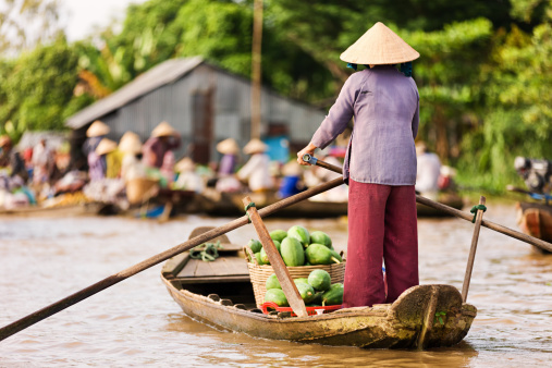 Vietnamese woman rowing  boat in the Mekong River Delta, Vietnam