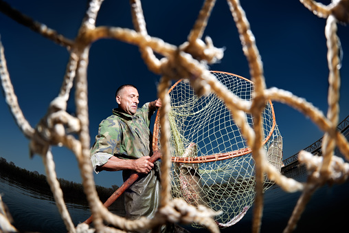 Low angle shot of a fisherman holding a fishing net with catfish in it.