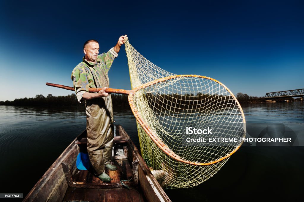 Sucesso de um dia - Foto de stock de Carpa - Peixe de água doce royalty-free