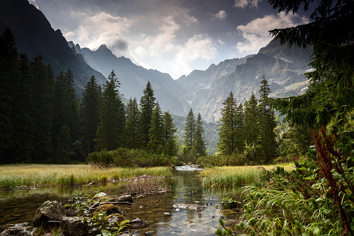 Landscape on a lake in Potzlow, Germany.