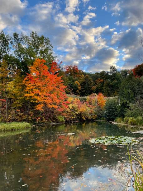 istock Beautiful fall day near a pond 1431792364