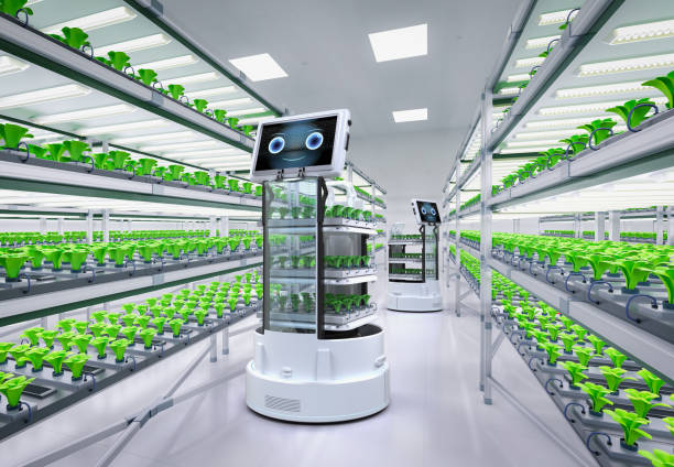 istock Robot assistant in light growth indoor farm 1431799691
