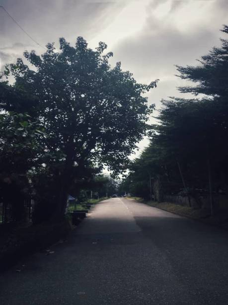 istock A road covered with trees when its about to rain 1431812305