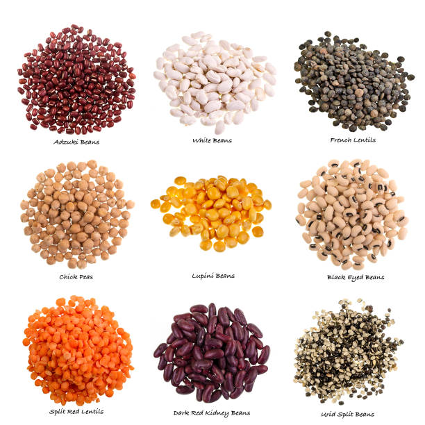 istock Various Types of Pulses on White Background with Names 1431814363
