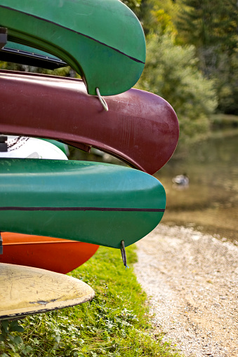 A duck swims in the lake near a group of stacked kayaks and canoes at Triglav National Park in Slovenia.