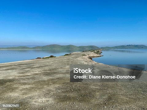 istock View To The Hills - Coyote Hills Regional Park, Fremont, California 1431821411