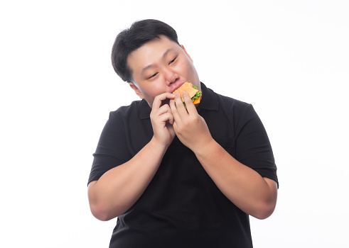 Young Funny Fat Asian man eating hamburger isolated on white background, Unhealthy concept.