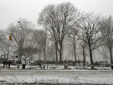 Winter storm in Madison Sq Park, NYC