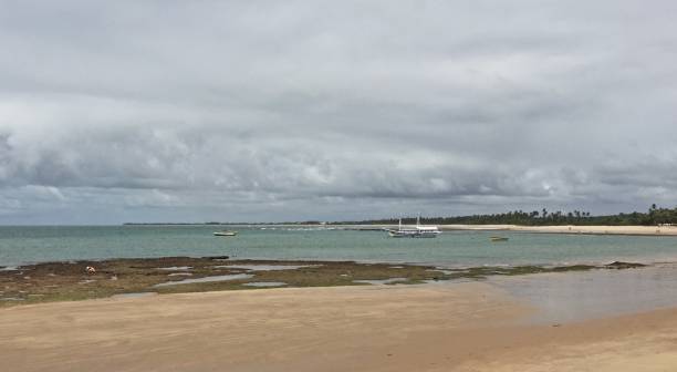 istock Sailboat at Praia do Forte 1431833991