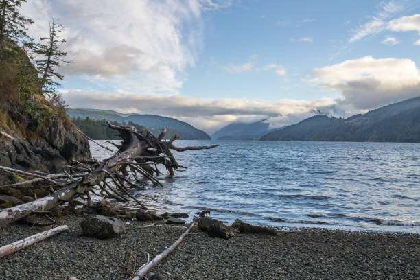 istock Canad West Coast landscape neat port Alberni 1431843890